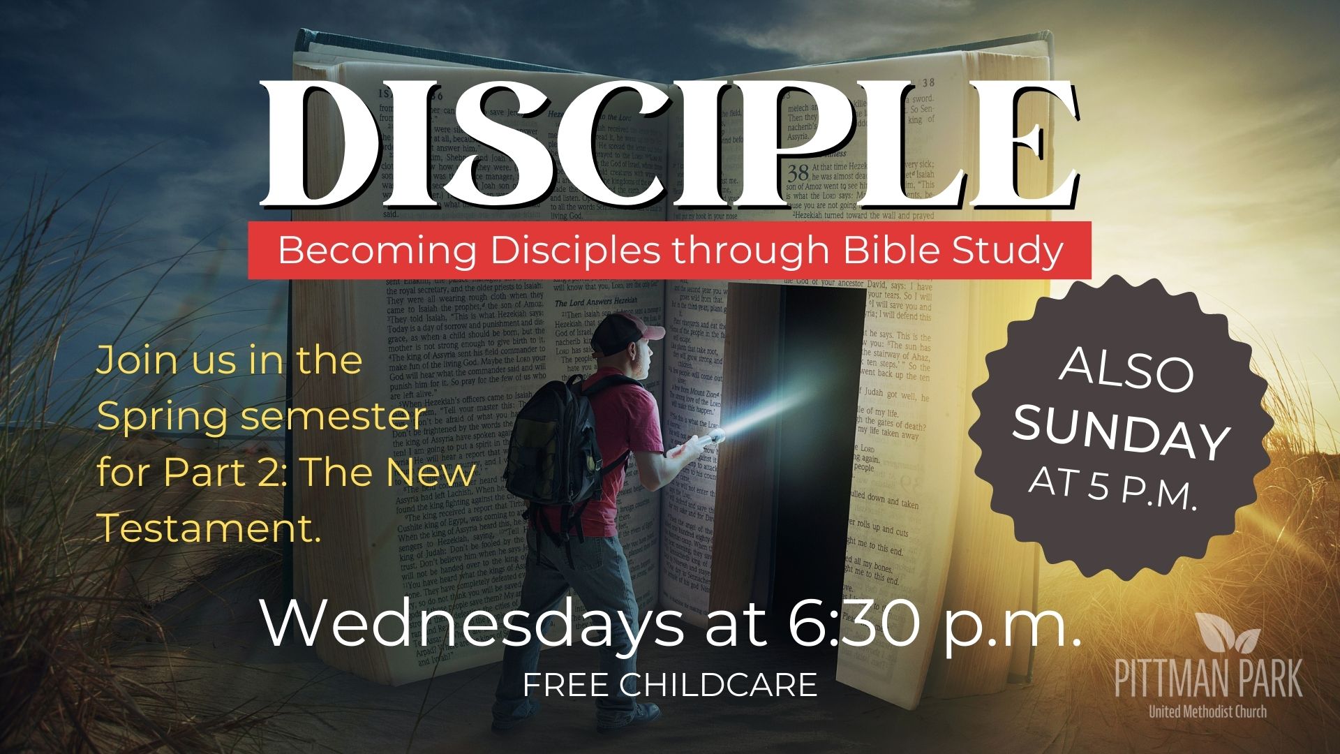 Disciple Bible Study
