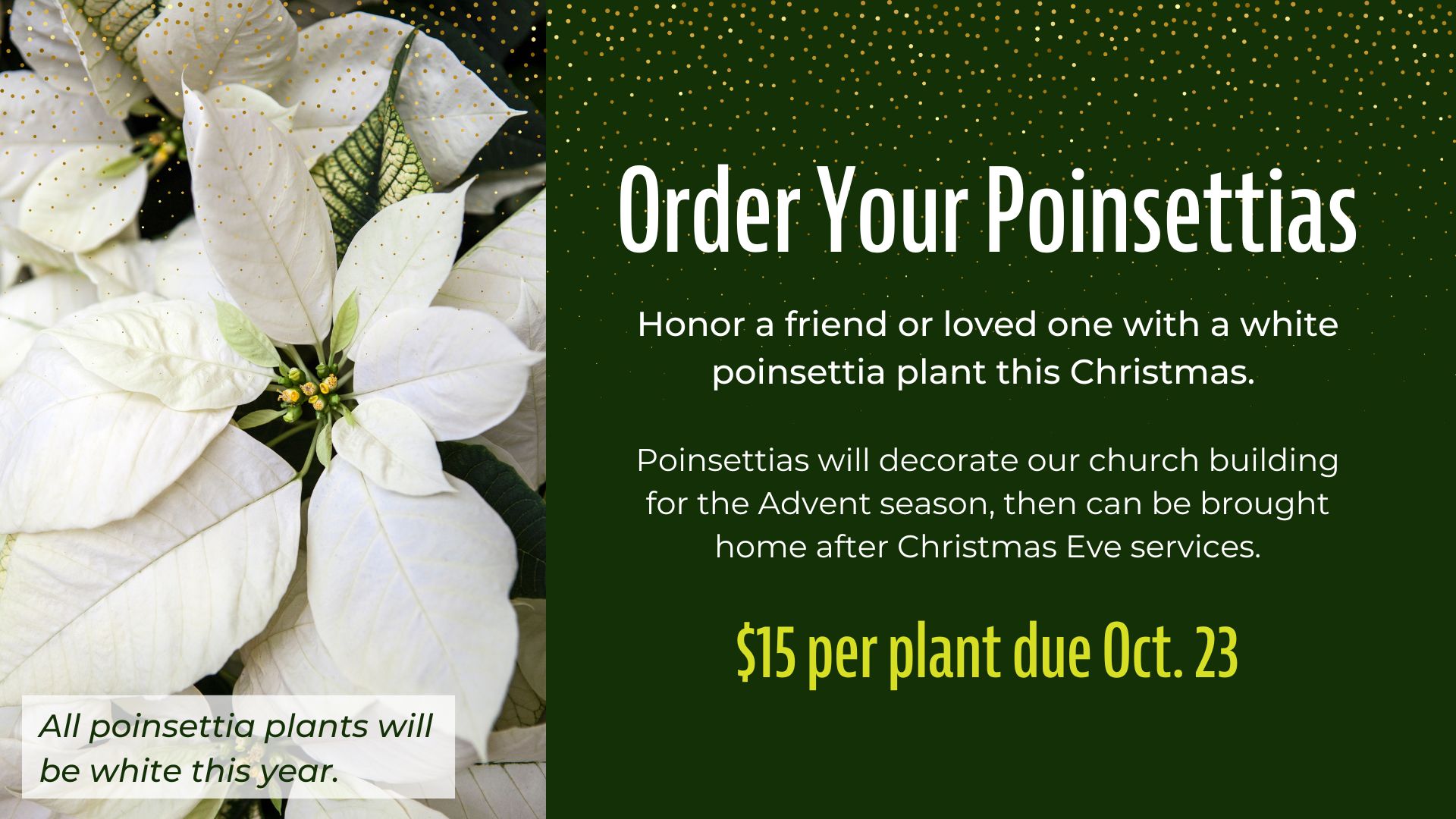 Order Your Poinsettias