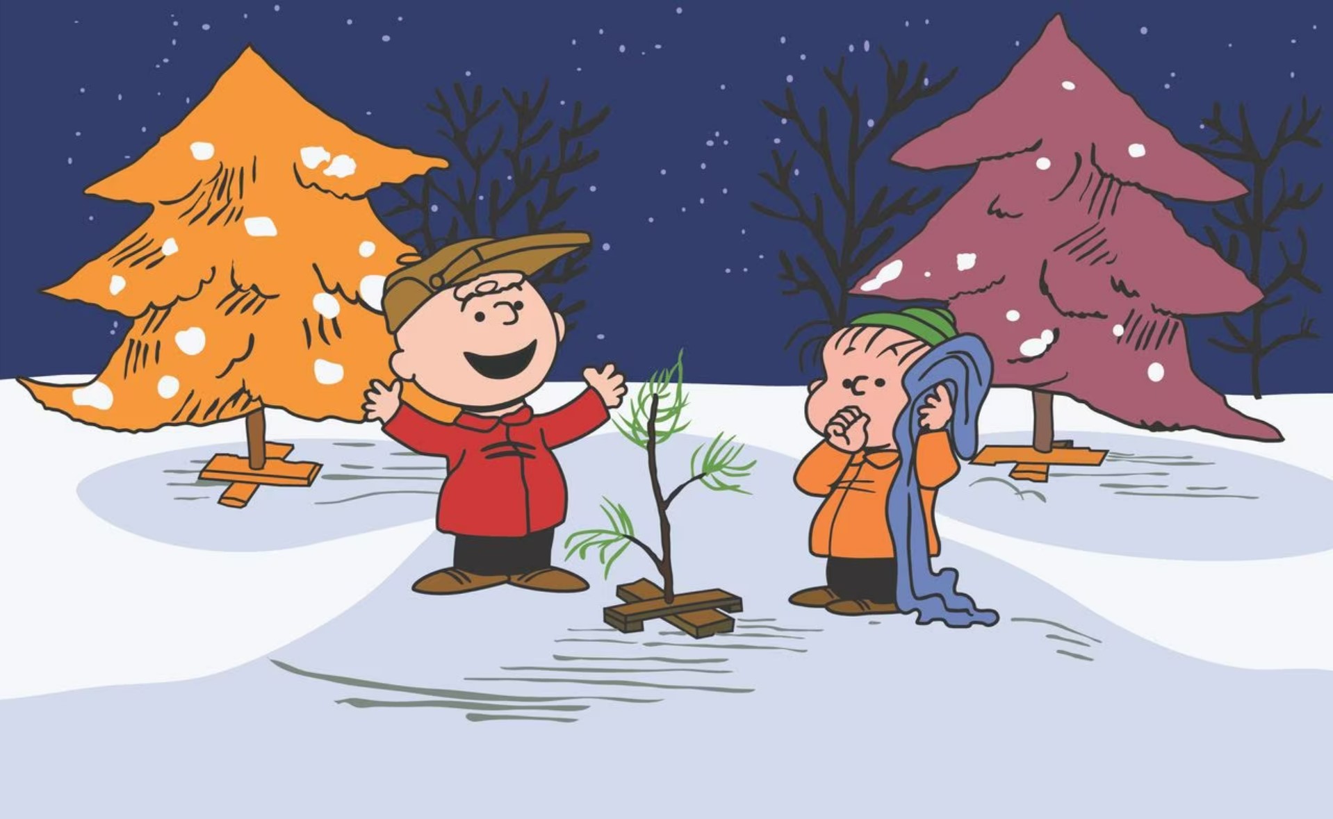 Image from Charlie Brown cartoon of Charlie Brown talking enthusiastically to Linus
