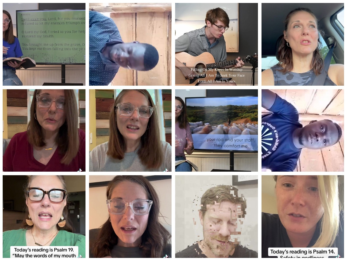 A grid of 12 video thumbnails