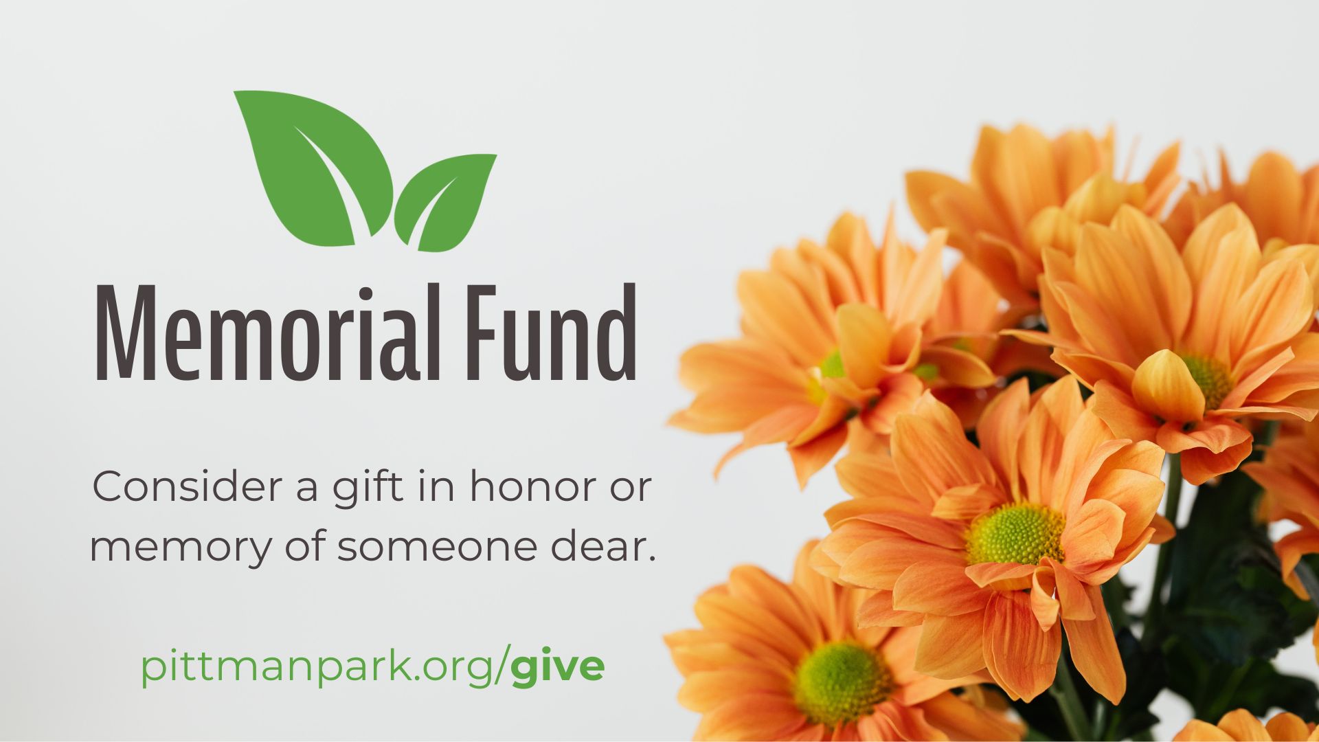 photo of orange flowers and Memorial Fund logo.
