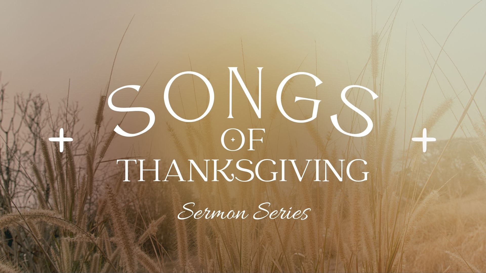 Righteous & Faithful