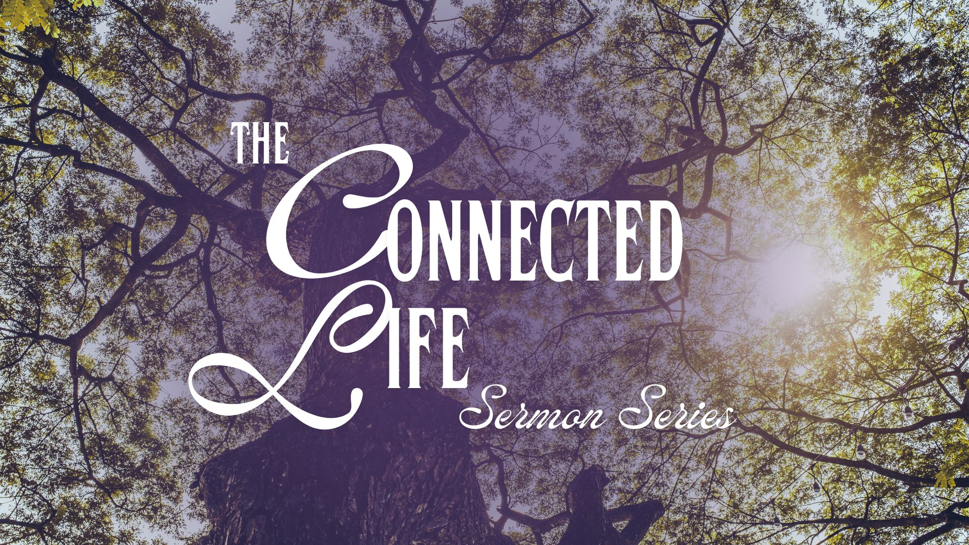 Can’t Steel My Joy